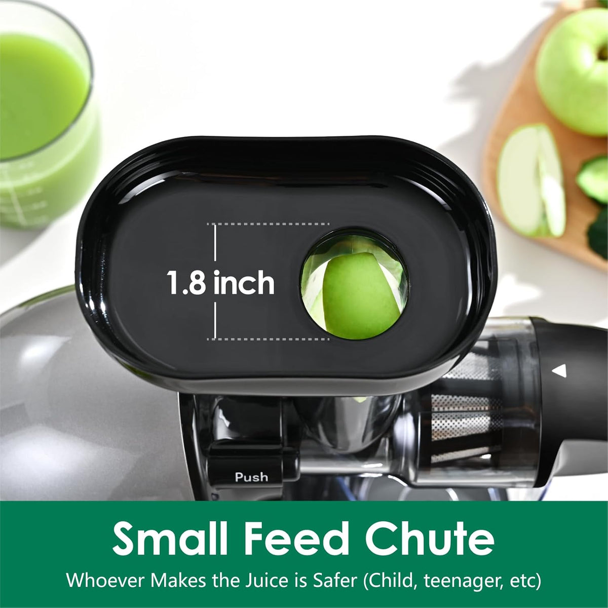 Slow Masticating Juicer,Brecious Cold Press Juicers with 2 Speed Modes & Quiet Motor,Juicers Machines Vegetable and Fruit with Reverse Function,Celery Juicer,BPA-Free,Easy to Clean (Silver)