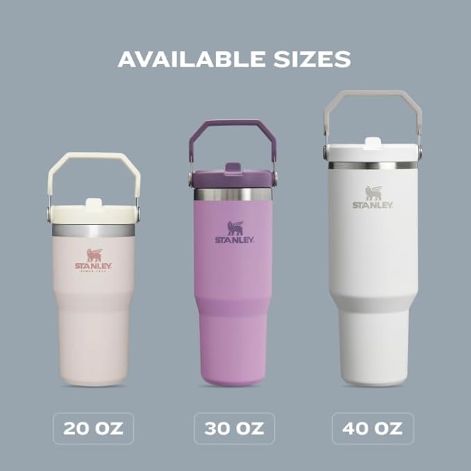 Stanley IceFlow Flip Straw Tumbler with Handle 30 oz | Twist On Lid and Flip Up Straw | Leak Resistant Water Bottle | Insulated Stainless Steel |BPA-Free | Tigerlily Plum