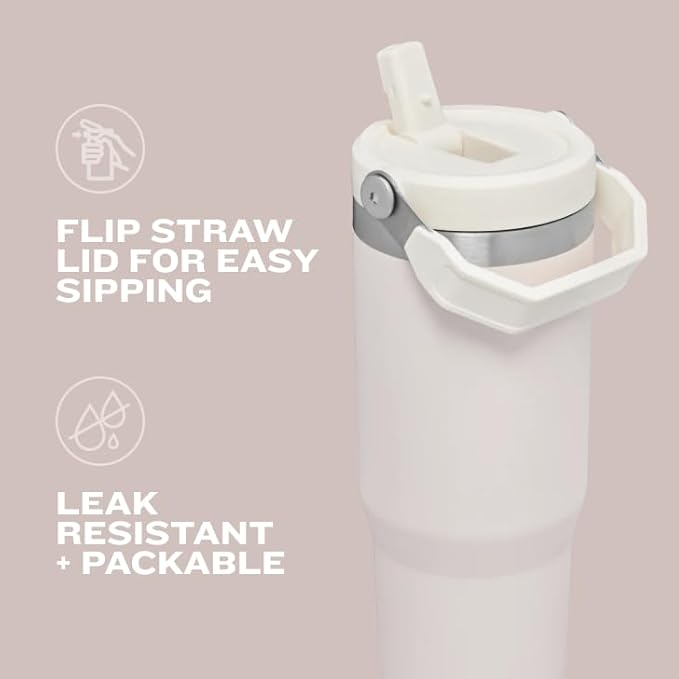 Stanley IceFlow Flip Straw Tumbler with Handle 20 oz | Twist On Lid and Flip Up Straw | Leak Resistant Water Bottle | Insulated Stainless Steel |BPA-Free | Plum