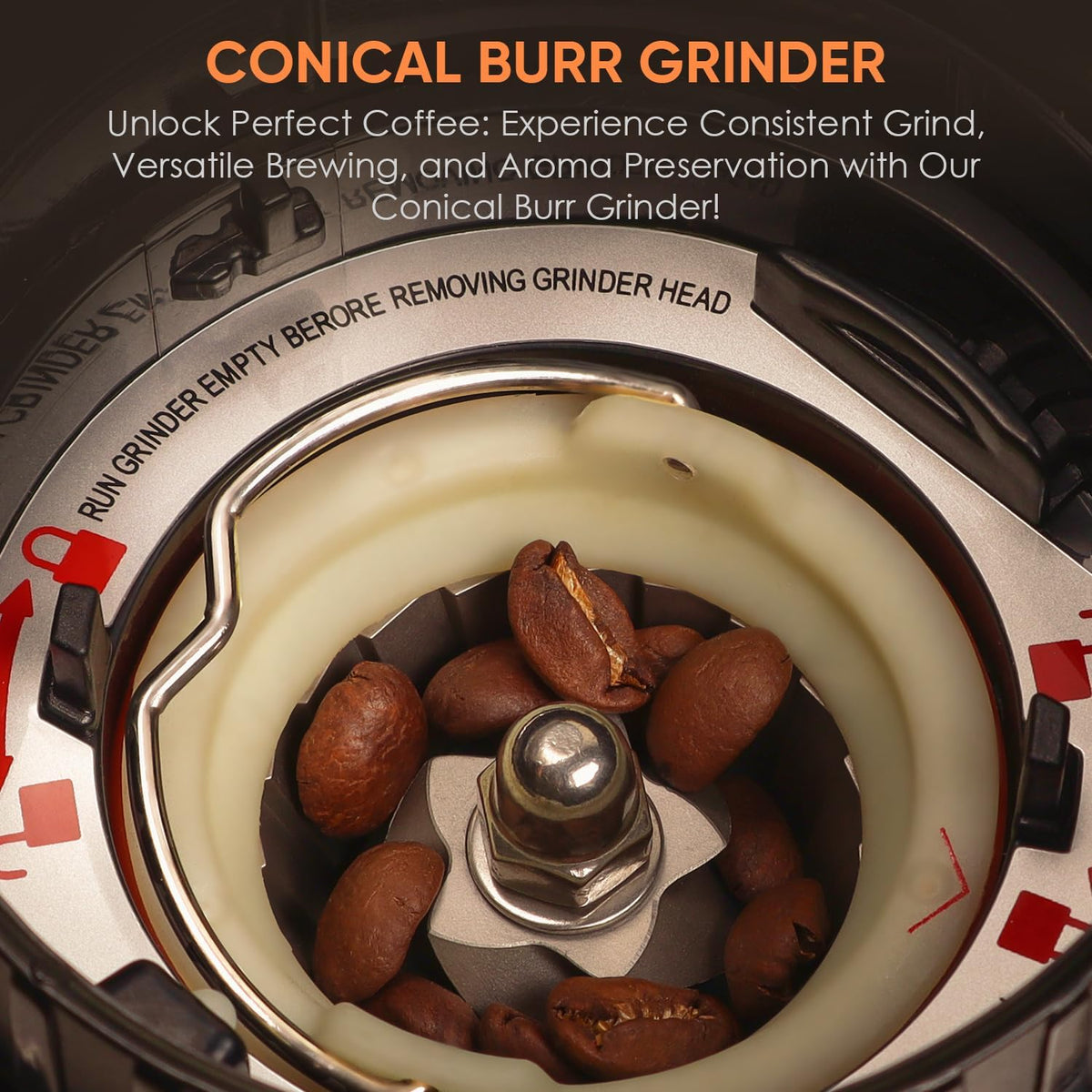 Biolomix Burr Coffee Grinder,Coffee Grinder, 48 Grind Settings and LED Control Panel,Digital Timer, Anti Static,Anti Clogging Coffee Bean Grinder,Grinds 2-12 Cups of Coffee, Black