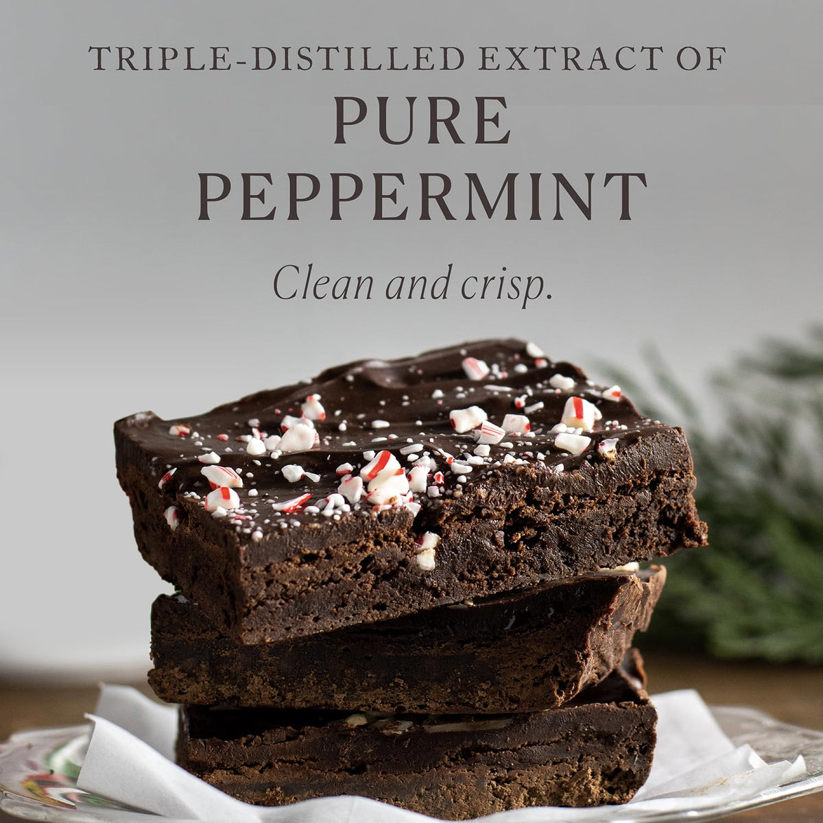 Cook's, Organic Peppermint Extract, Premium Peppermint Oil, Crafted in the USA, 4 oz