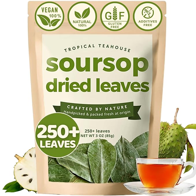 TROPICAL TEAHOUSE 250+ Soursop Dried Leaves, 3oz Premium Graviola Leaves, 100% Pure Guanabana Leaves, Handpicked, Gluten Free, Caffeine Free, Sugar-Free