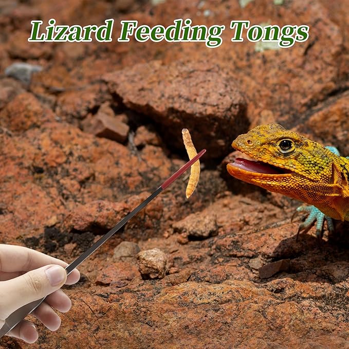Reptile Feeding Tongs, Stainless Steel Lizard Feeding Tongs, Aquarium Straight Feeding Tweezers for Reptiles with Rubber Tip, Terrarium Feeding Tongs for Gecko, 10.63" Length, Red