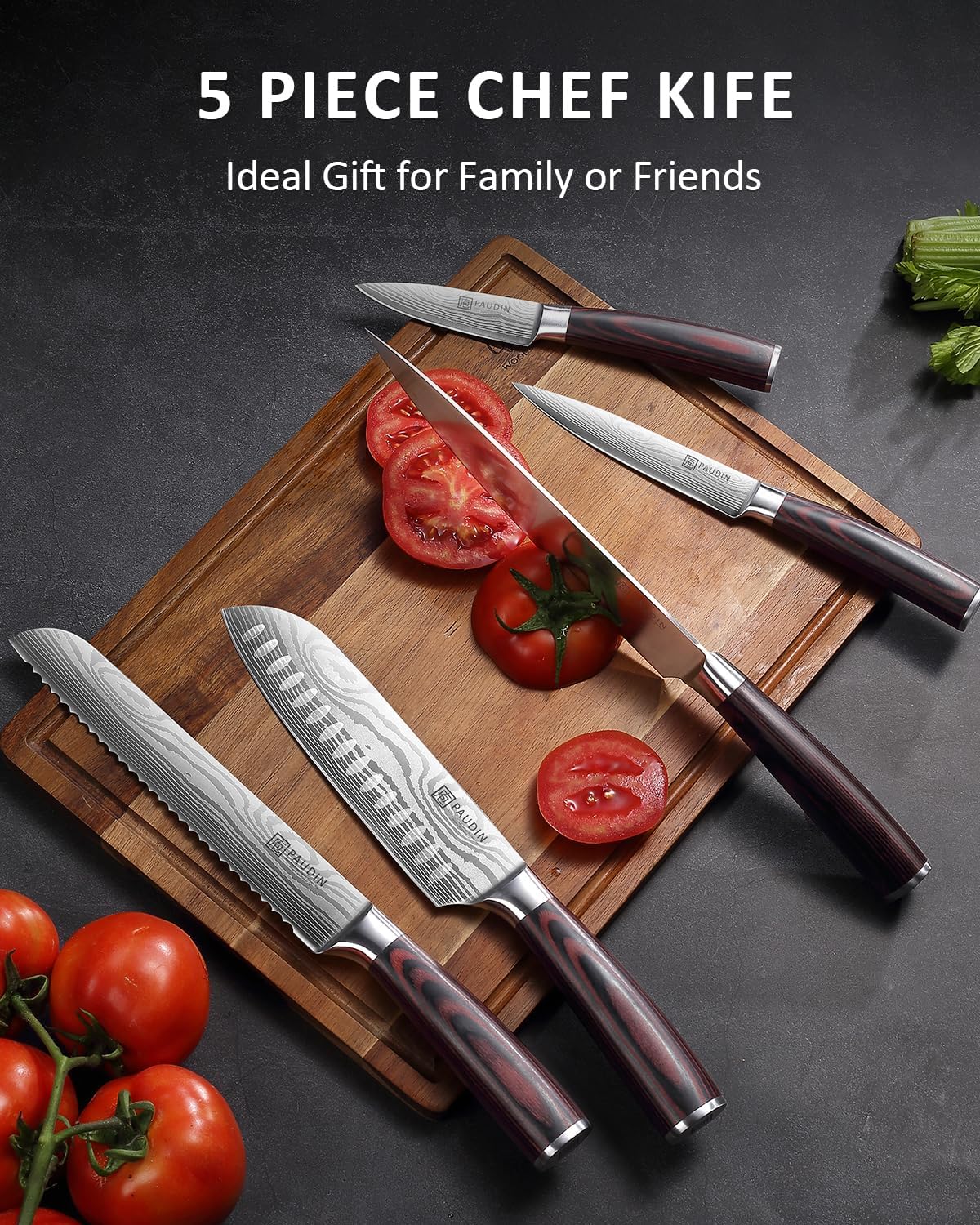 PAUDIN Kitchen Knife Set, Ultra Sharp Knife Set with Pakkawood Handle, High Carbon Stainless Steel Knives Set for Kitchen, 5 Piece Chef Knife Set Come with Gift Box