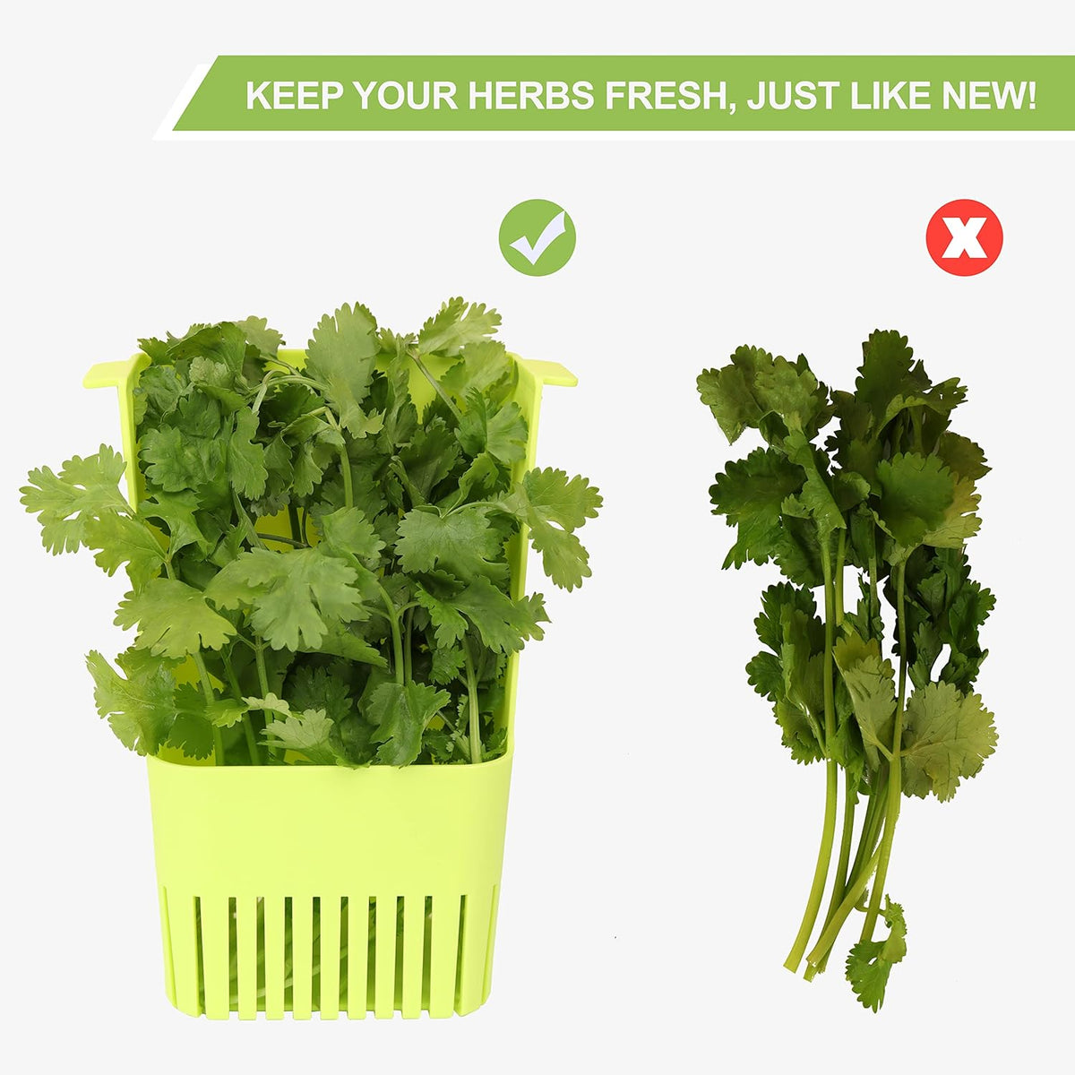 Herb Keeper, BPA-Free Plastic Herb Saver with an Inner Basket for Cilantro, Mint, Parsley, and Asparagus, Keeps Fresh Herbs for 3 Times Longer,1Pcs, Green