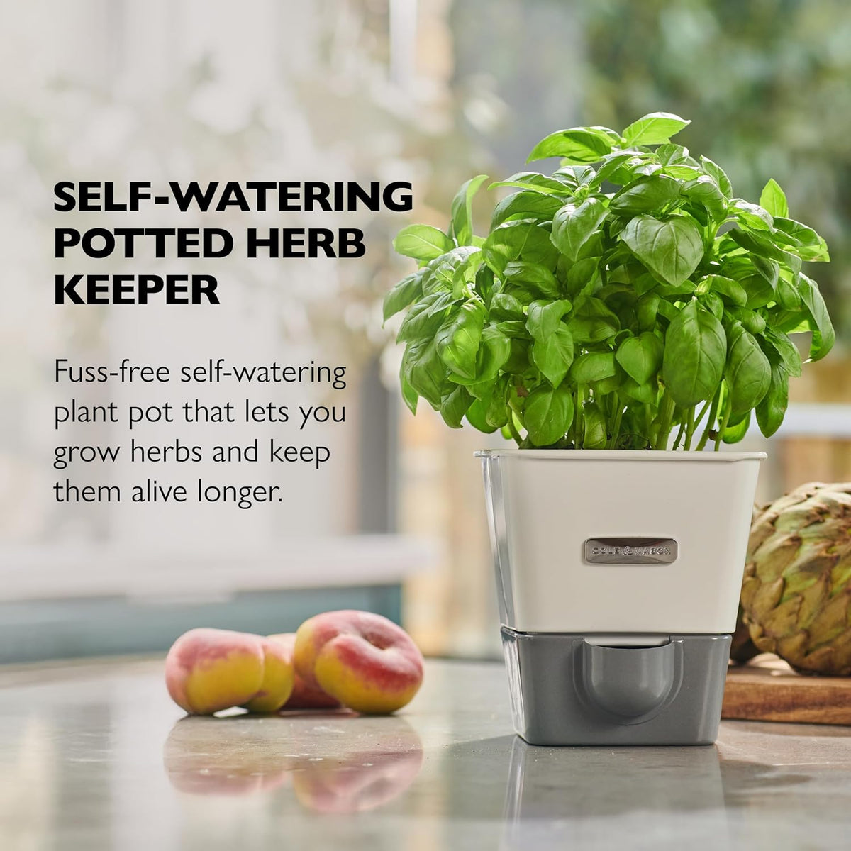 Cole & Mason Self-Water Herb Keeper - Potted Herb Saver with Hydro Pad & Pour Spout - Fresh Herb Keeper for Refrigerator - Herb Storage & Container
