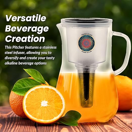 Borosilicate Glass Alkaline Water Pitcher of Life with Stainless Steel Fruit Infuser Glass Water Filter Pitcher with Lid Clearly Filtered Water Pitcher Increases pH NSF/ANSI 42 & 61 Certified Filters